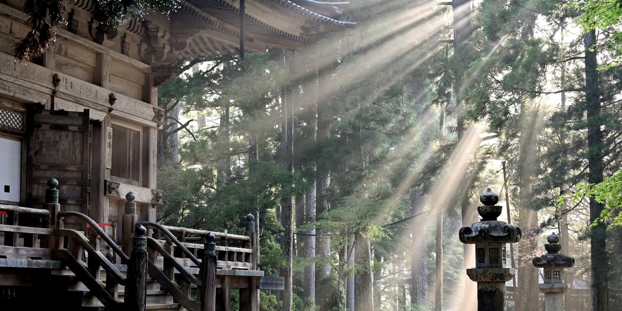 Go Non-Touristy Guide to Visiting Japan